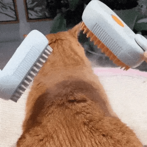 ✨ ¡El cepillo mágico para tu mascota! ✨